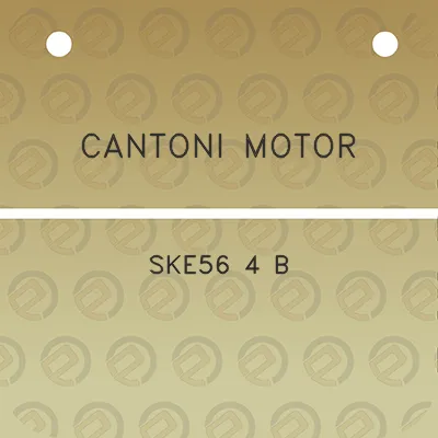 cantoni-motor-ske56-4-b