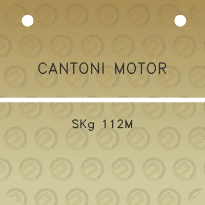 cantoni-motor-skg-112m