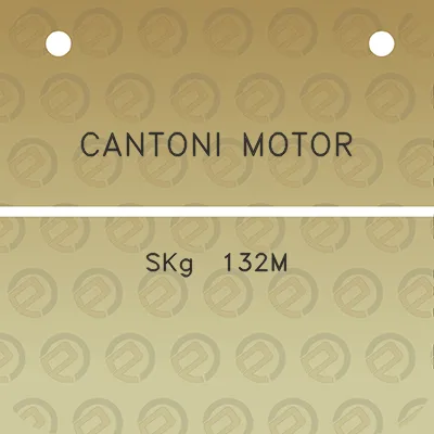 cantoni-motor-skg-132m