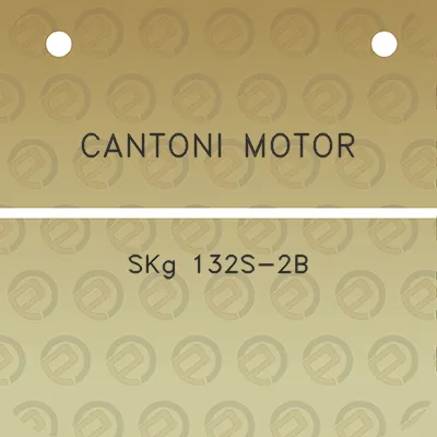 cantoni-motor-skg-132s-2b