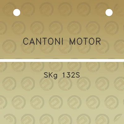 cantoni-motor-skg-132s