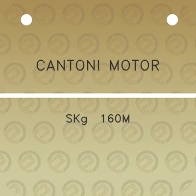 cantoni-motor-skg-160m