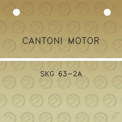 cantoni-motor-skg-63-2a