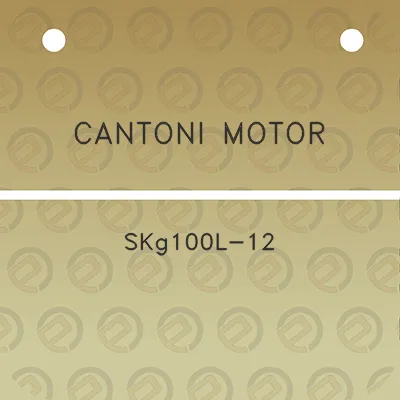 cantoni-motor-skg100l-12