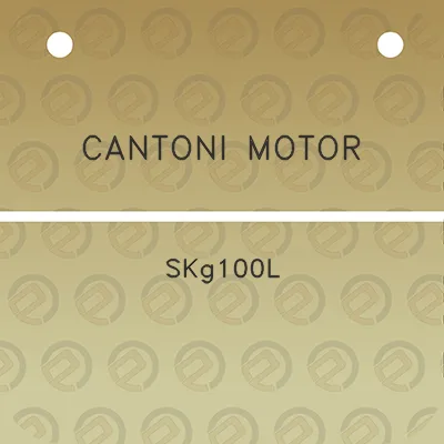 cantoni-motor-skg100l