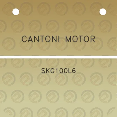 cantoni-motor-skg100l6