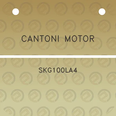 cantoni-motor-skg100la4