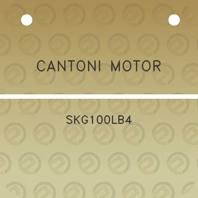 cantoni-motor-skg100lb4