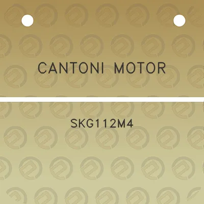 cantoni-motor-skg112m4