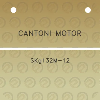 cantoni-motor-skg132m-12