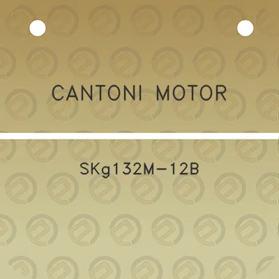 cantoni-motor-skg132m-12b