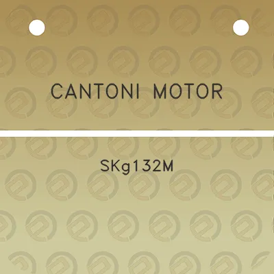 cantoni-motor-skg132m