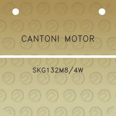 cantoni-motor-skg132m84w