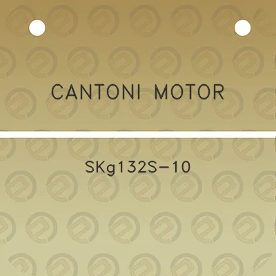 cantoni-motor-skg132s-10