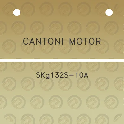 cantoni-motor-skg132s-10a