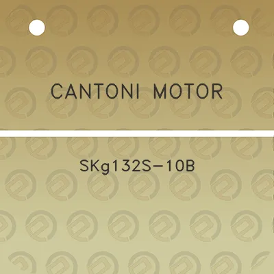 cantoni-motor-skg132s-10b