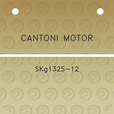 cantoni-motor-skg132s-12