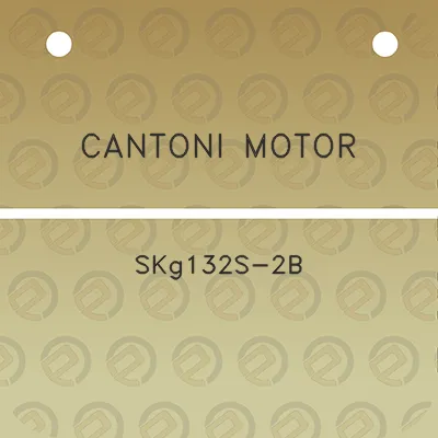 cantoni-motor-skg132s-2b