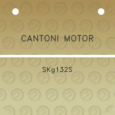 cantoni-motor-skg132s