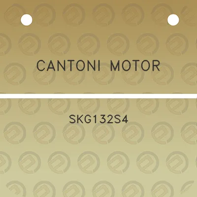 cantoni-motor-skg132s4