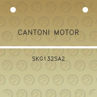 cantoni-motor-skg132sa2