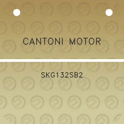 cantoni-motor-skg132sb2