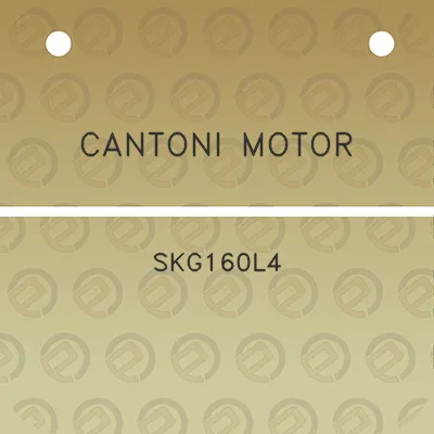 cantoni-motor-skg160l4