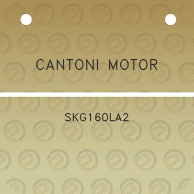 cantoni-motor-skg160la2