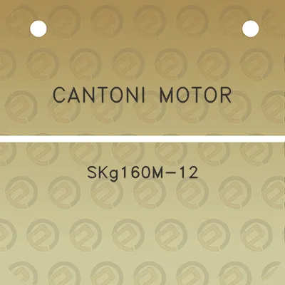 cantoni-motor-skg160m-12