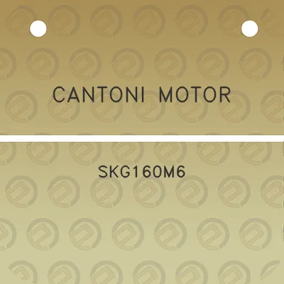 cantoni-motor-skg160m6