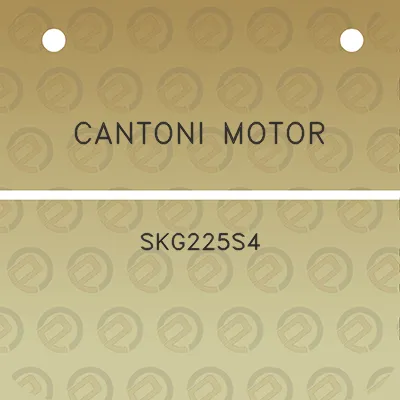 cantoni-motor-skg225s4