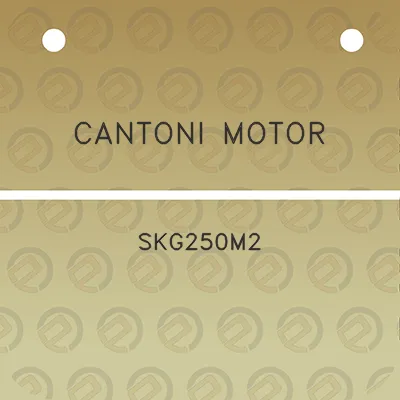 cantoni-motor-skg250m2