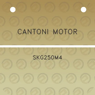 cantoni-motor-skg250m4