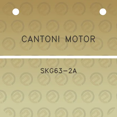 cantoni-motor-skg63-2a