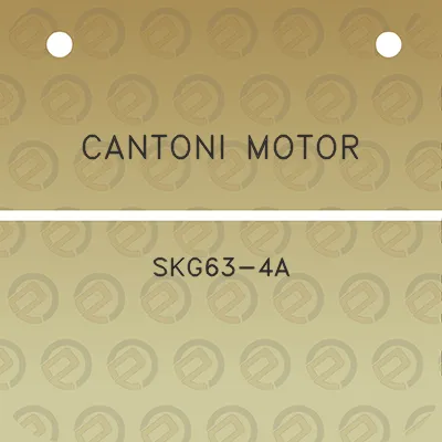 cantoni-motor-skg63-4a