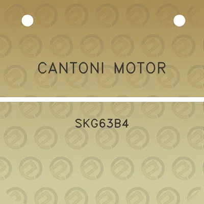 cantoni-motor-skg63b4