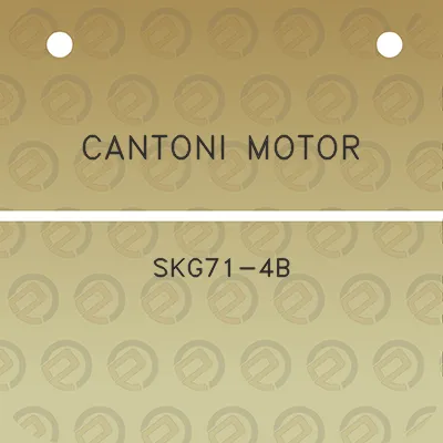 cantoni-motor-skg71-4b