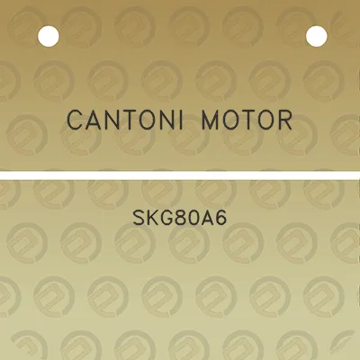 cantoni-motor-skg80a6