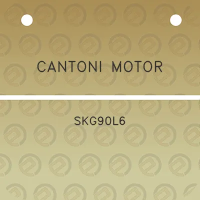 cantoni-motor-skg90l6