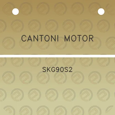 cantoni-motor-skg90s2