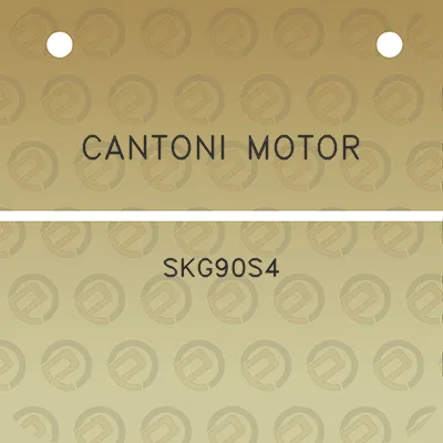 cantoni-motor-skg90s4