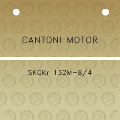 cantoni-motor-skgkr-132m-84