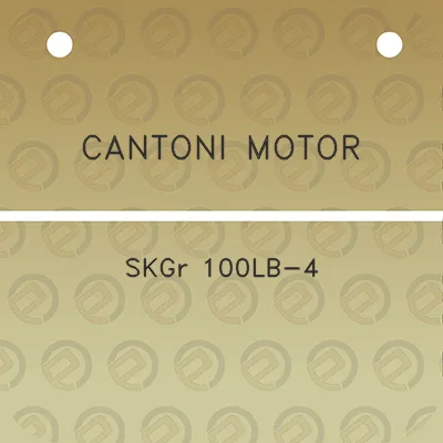 cantoni-motor-skgr-100lb-4