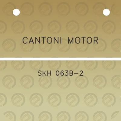 cantoni-motor-skh-063b-2