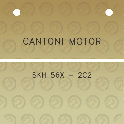 cantoni-motor-skh-56x-2c2