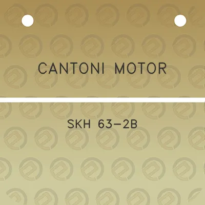 cantoni-motor-skh-63-2b