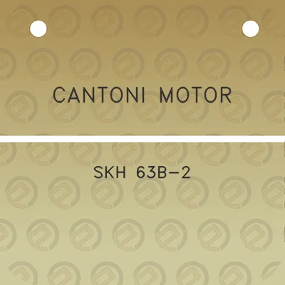 cantoni-motor-skh-63b-2