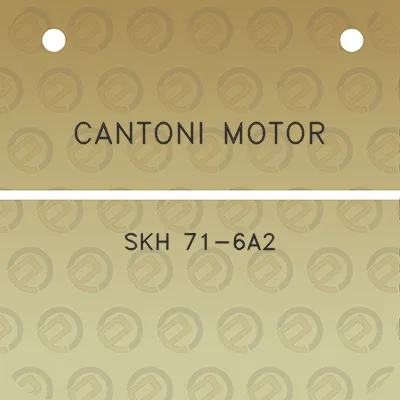 cantoni-motor-skh-71-6a2