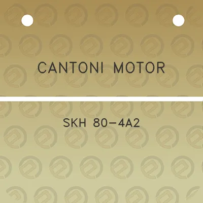 cantoni-motor-skh-80-4a2