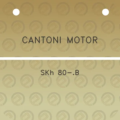 cantoni-motor-skh-80-b